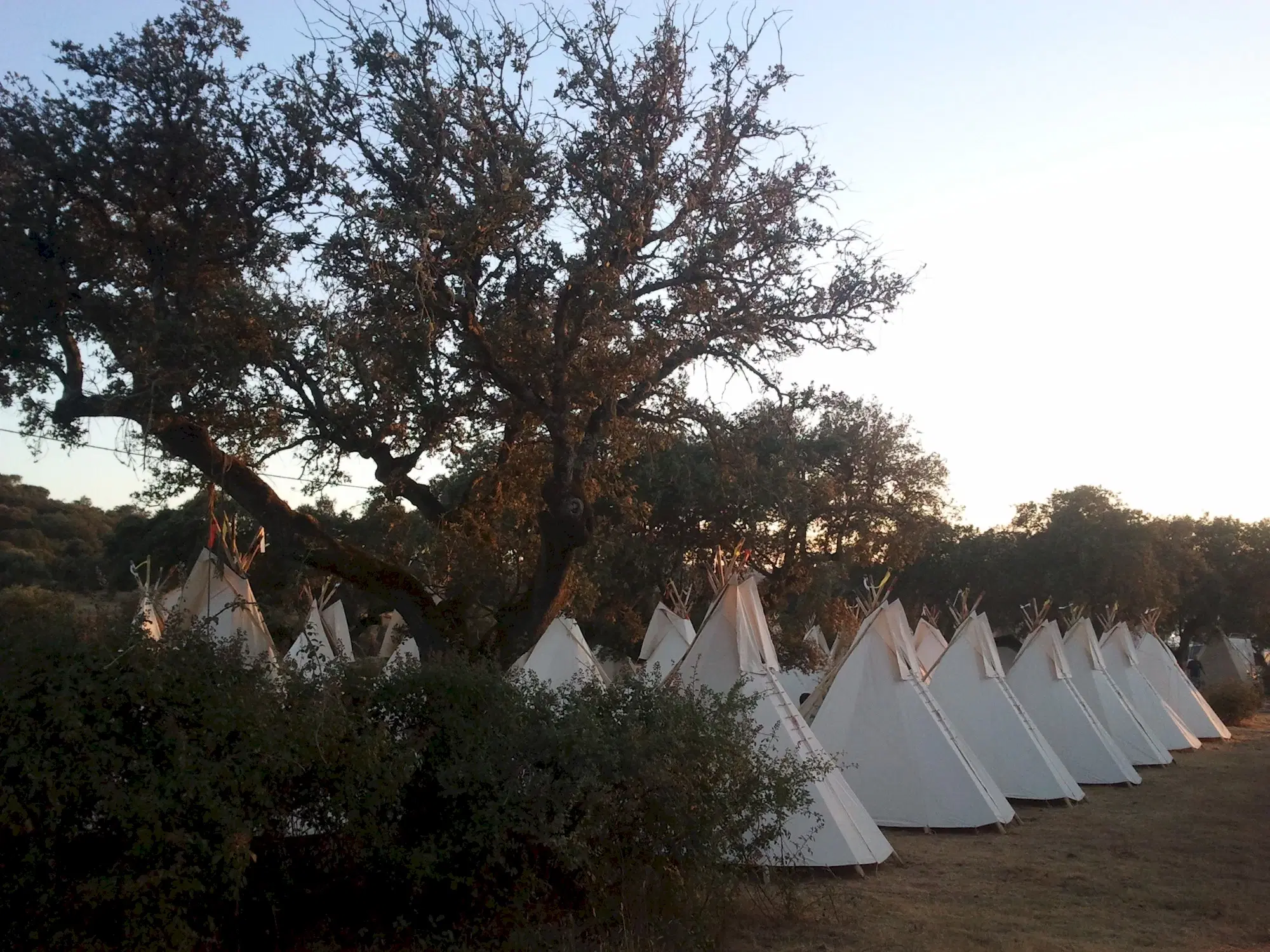 Wanbli Tipi Camp